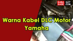 Warna Kabel DLC Motor Yamaha