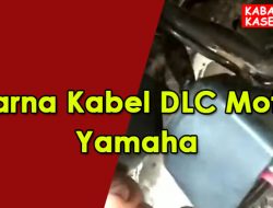 Warna Kabel DLC Motor Yamaha