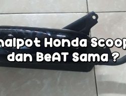 Knalpot Honda Scoopy dan BeAT Sama ?