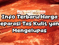 Info Terbaru Harga Reparasi Tas Kulit yang Mengelupas