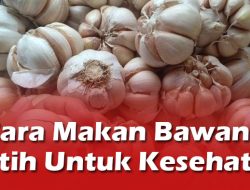 Cara Makan Bawang Putih Untuk Kesehatan