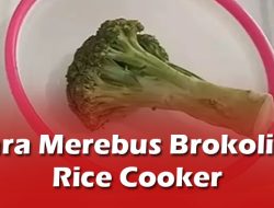 Cara Merebus Brokoli di Rice Cooker