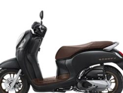 Price List Harga Terbaru Honda Scoopy Garut 2024